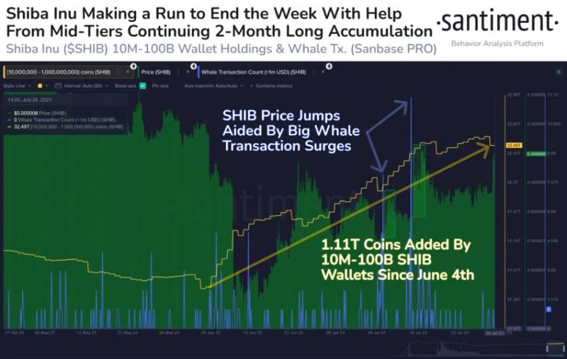 
Shiba Inu Whales Buy Over 1 Trillion SHIB in Anticipation of Shibarium Launch
