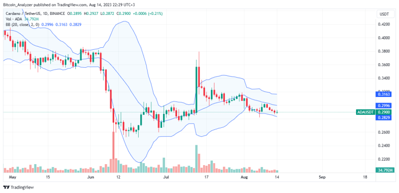 Cardano Whales Rapidly Accumulating, ADA Bull Run Incoming?