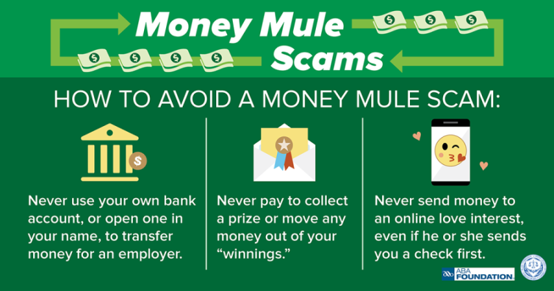 Protect Yourself from Remote Job Scams | Tips to Avoid Money Mule Scams