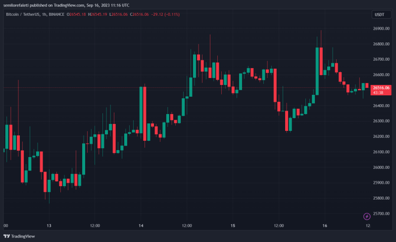 Glassnode Co-Founders Weigh In On Bitcoin (BTC) Path To $30,000