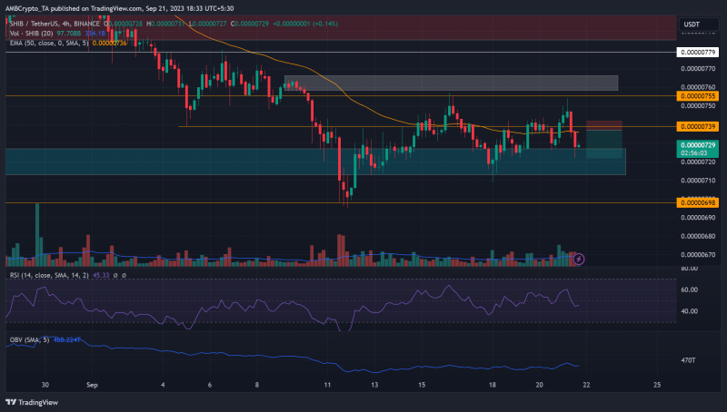 SHIB price fluctuations persist — Can sellers benefit?