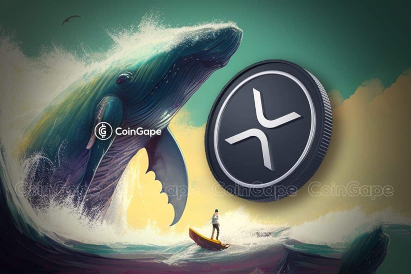 Whale Moves 29 Mln XRP, Price To Jump After FOMC?