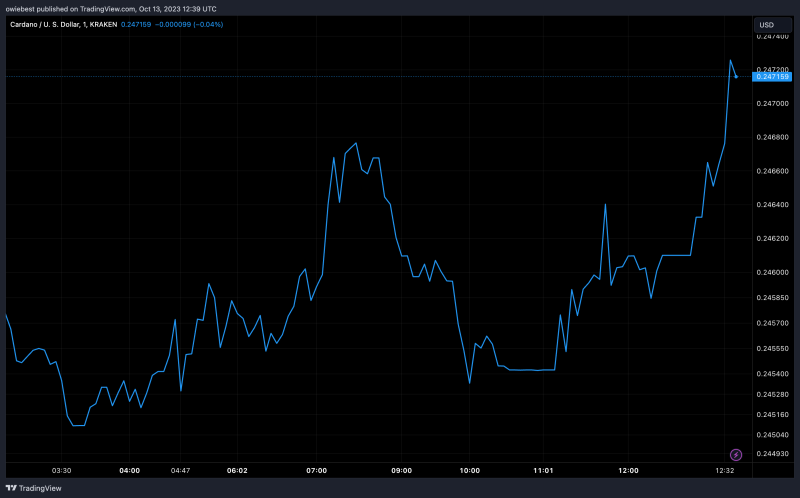 Cardano (ADA) Addresses In Loss Rise Over 94%, Is It Time To Jump Ship?