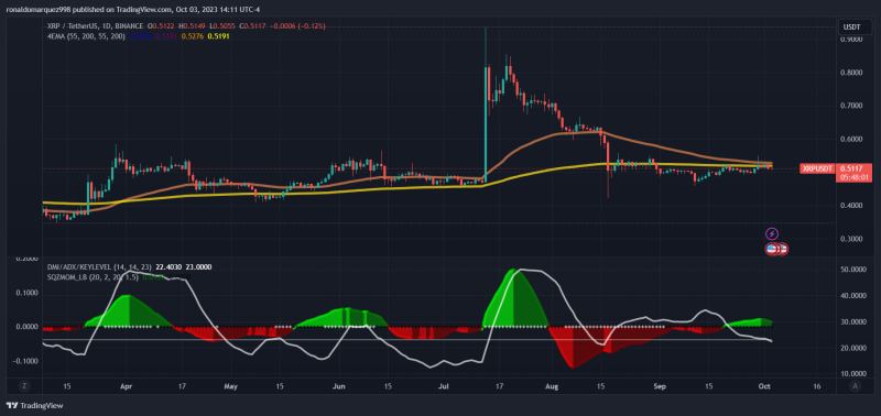 Ripple CEO's Tattoo Predicts XRP Price Surge? Here's When It Will Hit The Moon