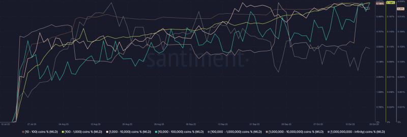 Worldcoin is back in the hands of whales- What now?