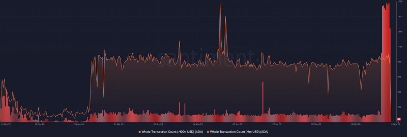 Cardano whales make record transactions amidst ADA rally