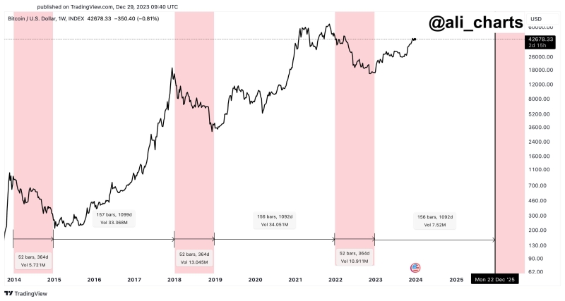 Historical Trends Suggest Bitcoin Bull Cycle Will Continue Until This Year