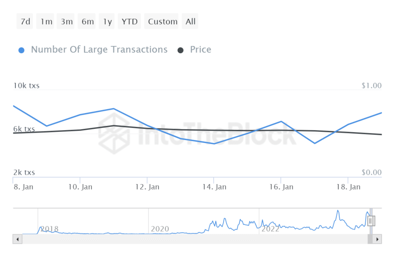 Cardano price tipped for growth amid Whale Transactions jump