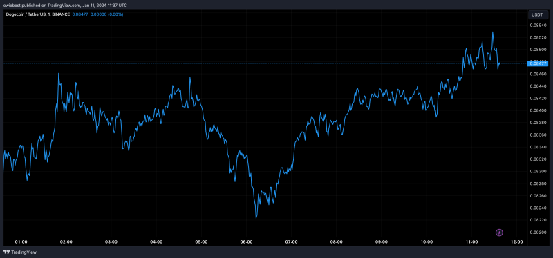 Crypto Analyst Reveals Why $0.087 Is A Key Profitable Level To Watch For Dogecoin