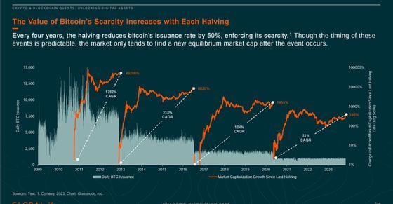 Why 2024 Will Be Bitcoin's Year