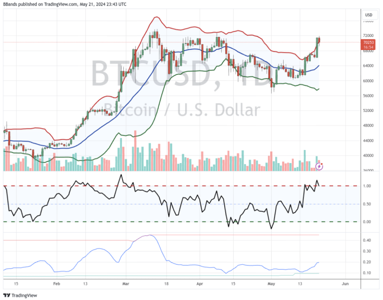 Bitcoin Crash: Top Analyst Cautions of BTC Pullback Ahead