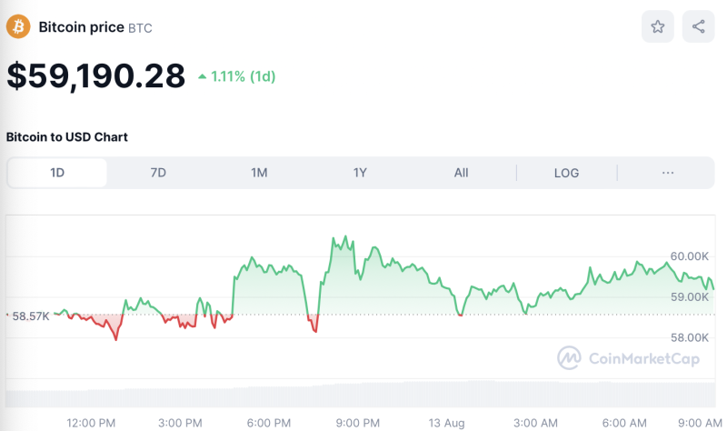 Crypto Prices Today August 13: Bitcoin At $59K Amid ETF Inflows, Altcoins Soar Up To 20%