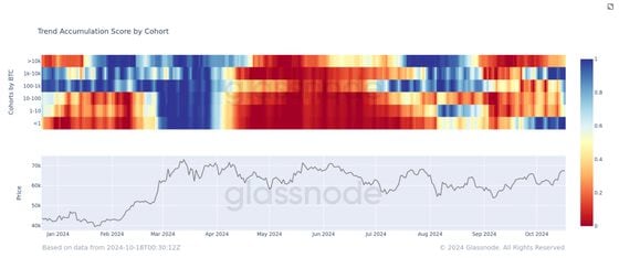 Bitcoin Isn't at a Record Like Gold and S&P 500, but an Overlooked Catalyst Suggests a Coming Change