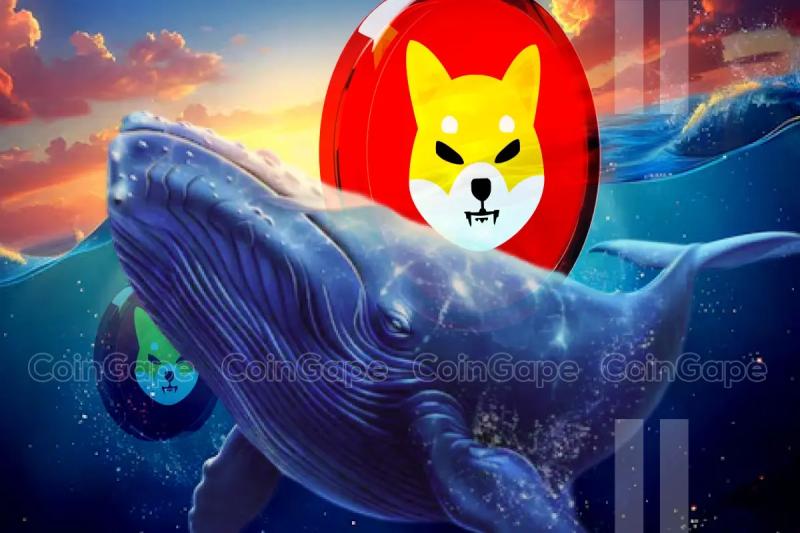 Shiba Inu Whale Transactions Jump 341%, Price To Follow Suit?