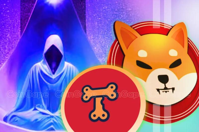 SHIB Lead Shytoshi Kusama Hints At TREAT Token Launch