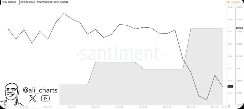 Dogecoin Whales Buy 460M DOGE Sparking Optimism, What's Next?