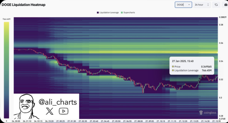 Dogecoin Whales Buy 460M DOGE Sparking Optimism, What's Next?